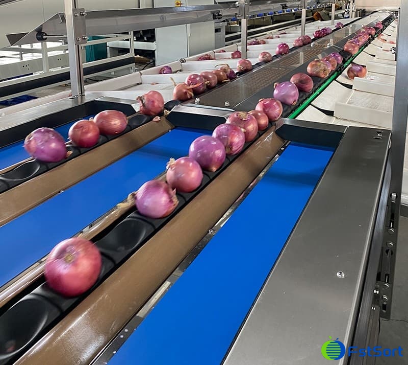 onion sorting machine.jpg onion sorting machine.jpg